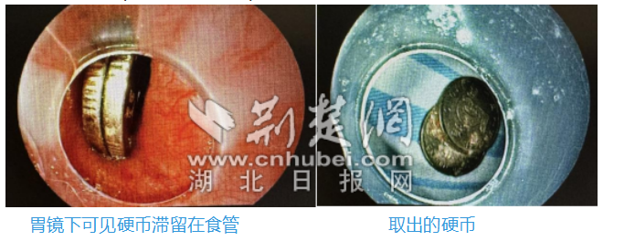 wechat_2025-07-21_162304_569_副本.png.png