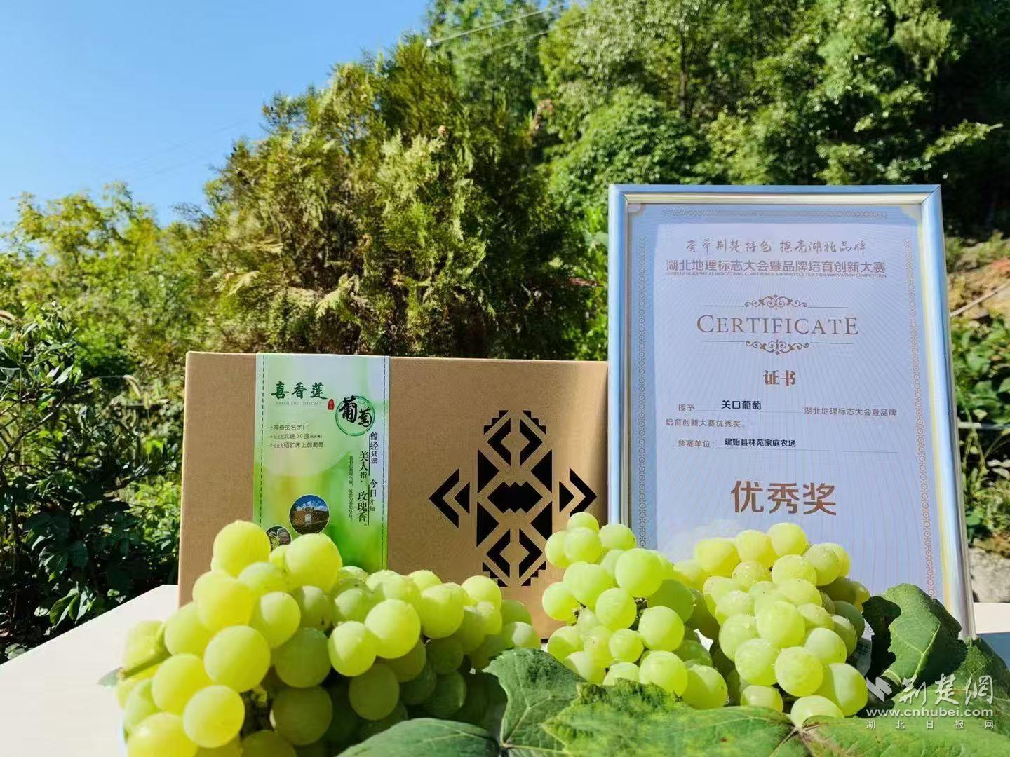 微信图片_20250922111953_11_389.jpg.jpg