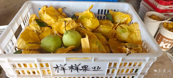 微信图片_20250810114123_24.jpg