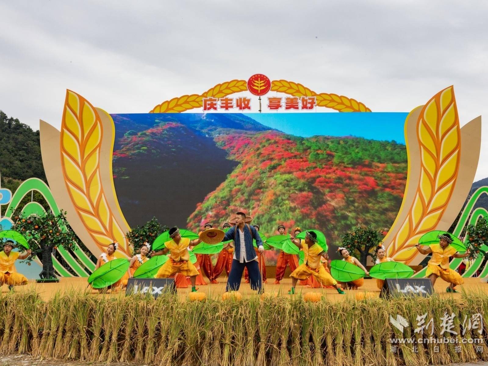 9726ab68-cf01-4d36-ab6d-621c087b9b79_l.jpg.jpg
